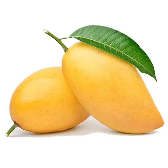 Mango Festival