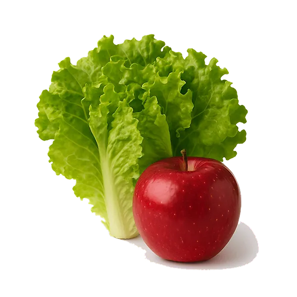 Fresh Fruits & Vegetables