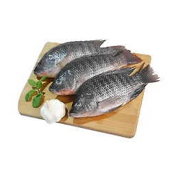 Fresh Thilapia Doha