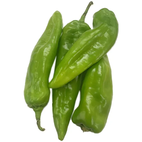 Chilli Big Saudi