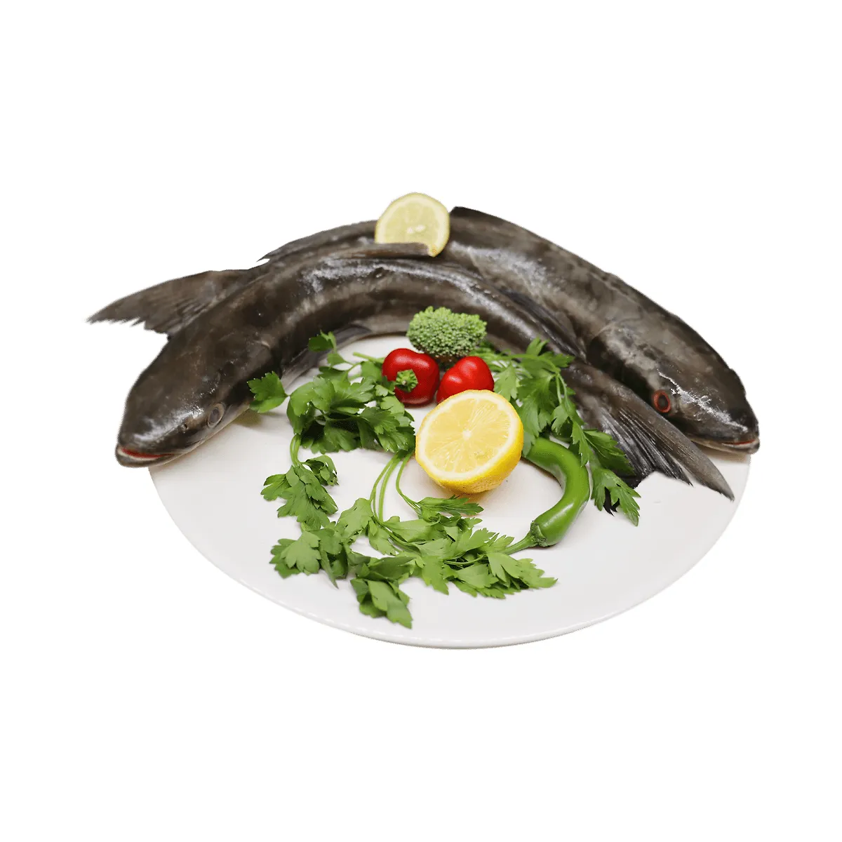 Fresh Butter Fish Medium Doha