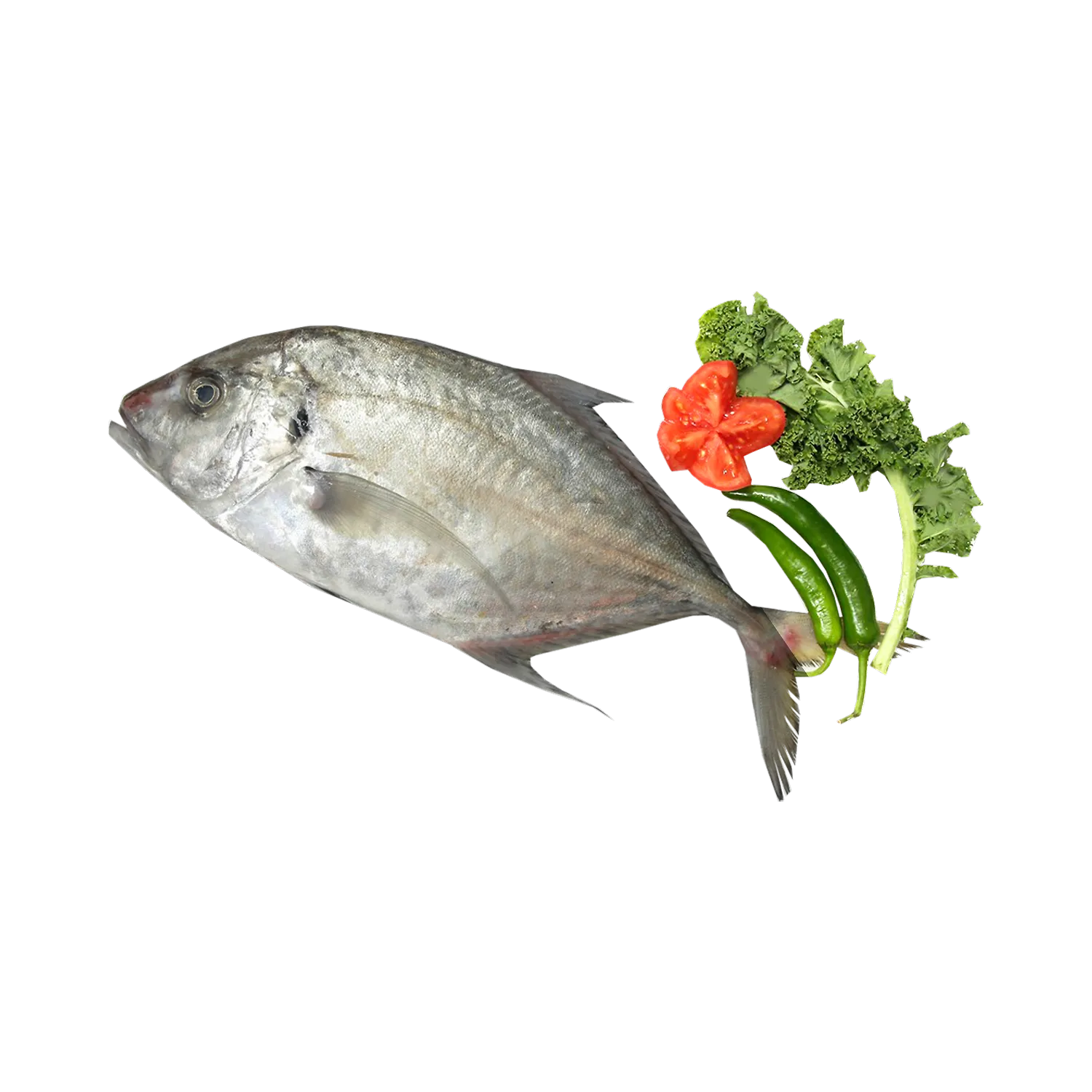 Fresh Subaidy Medium Doha