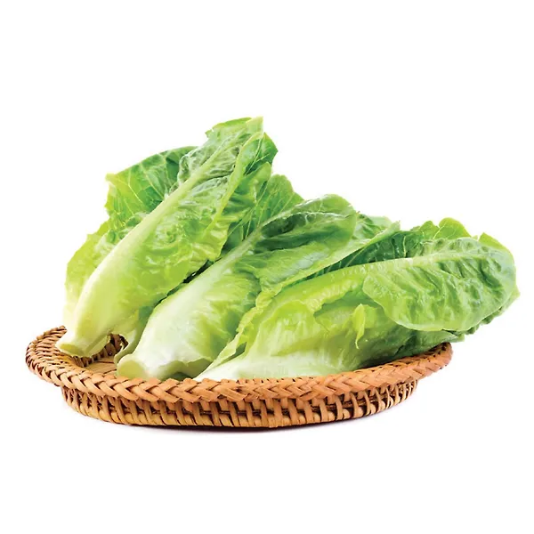 Lettuce Oman