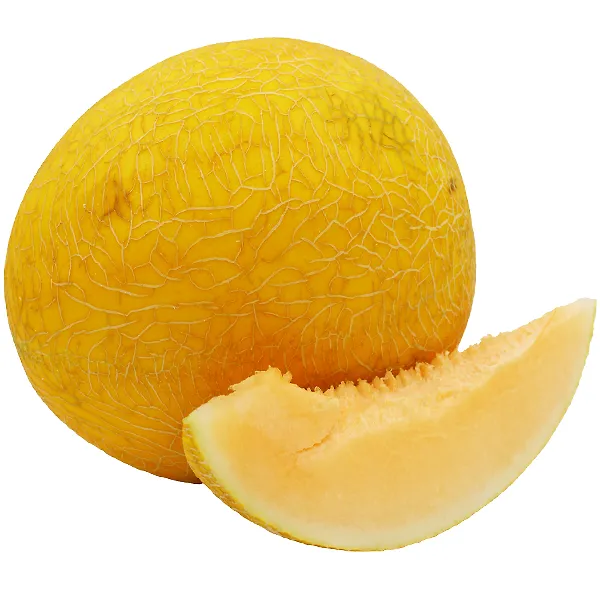 Sweet Melon Iran