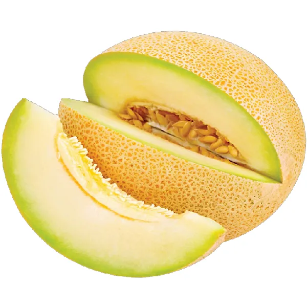 Sweet Melon Jordan