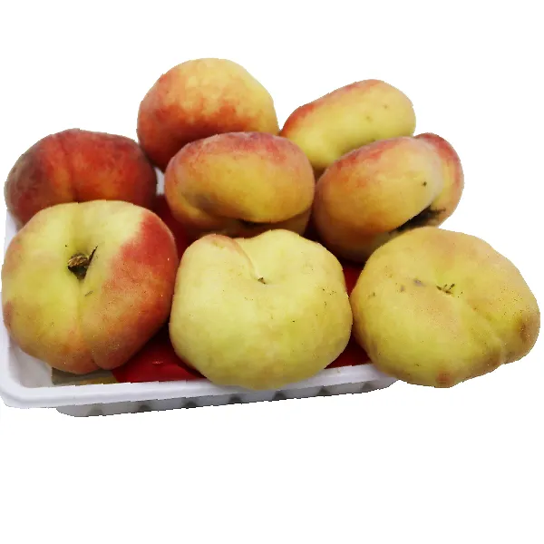 Peach Flat Syria