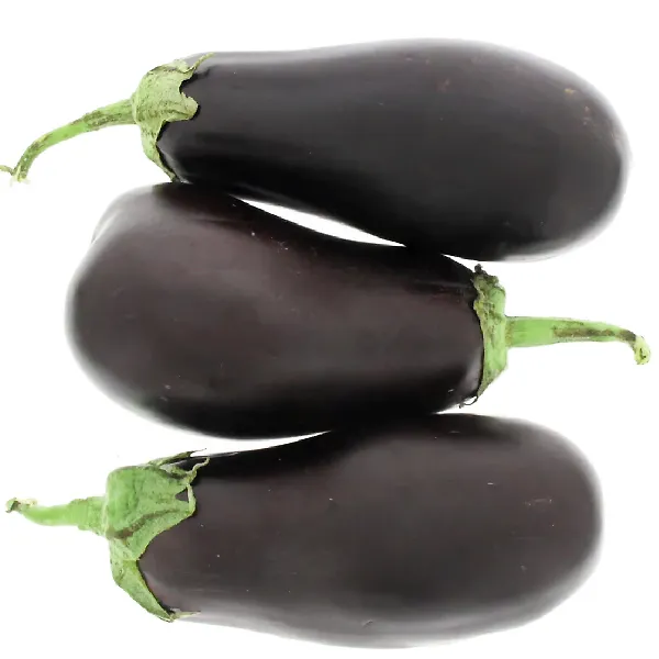 Eggplant Oman