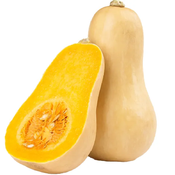 Butternut Pumpkin Oman