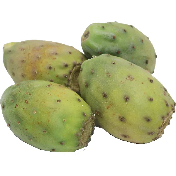 Cactus Pear (Theenchoki) Yeman