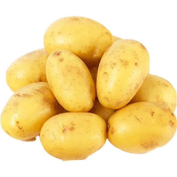 Potato Saudi
