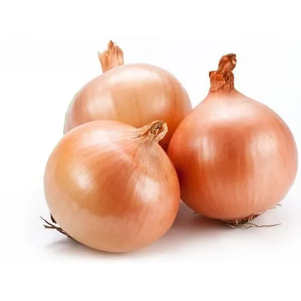Onion Brown Australia